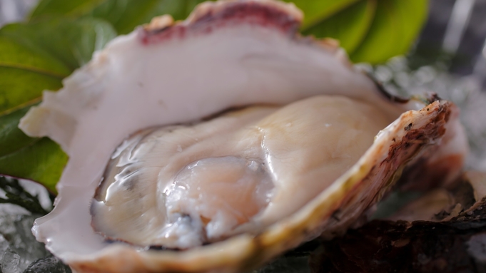 【夏・スタンダード】個室食◆温泉＆グルメ旅◆岩牡蠣＋但馬牛すき焼き＋日替り魚介酒蒸しなど美食を堪能！